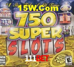 Security Systems 111bet